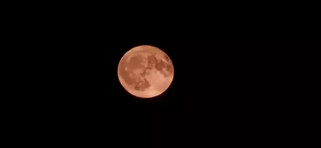 Foto: Christin Steffen