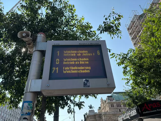 Ein Weichenschaden führte zur temporären Umleitung mehrerer Linien am Wiener Ring. (Archivfoto) | Foto: zVg