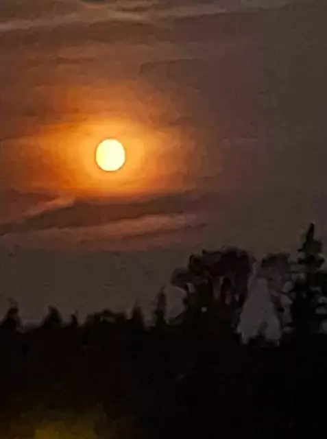 Foto: Ingrid Stiegler