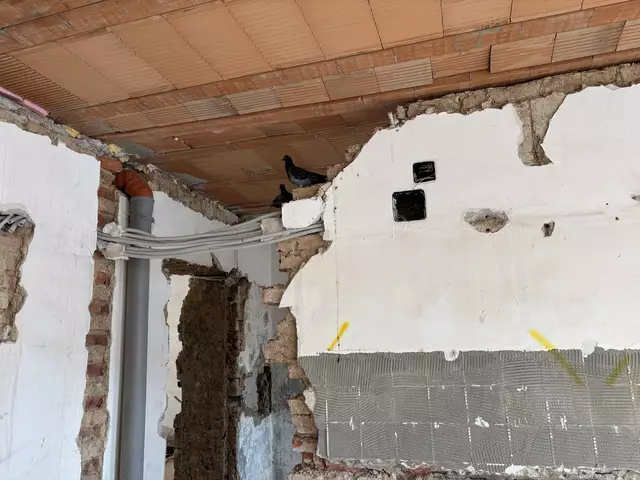Im Dachgeschoss der Jagdgasse, welches sich in einem desolaten Zustand befindet, leben Tauben. | Foto: zVg