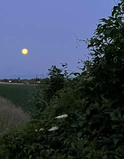 Foto: Angelika Rottenbücher