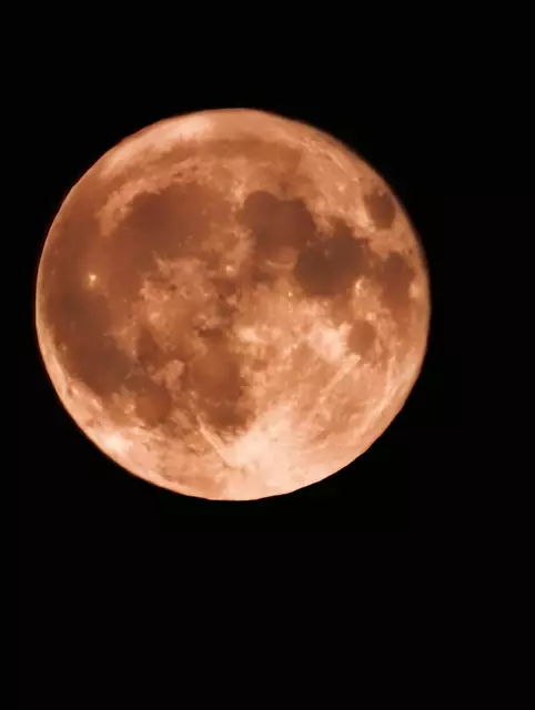 Foto: Vivien Hüthmair