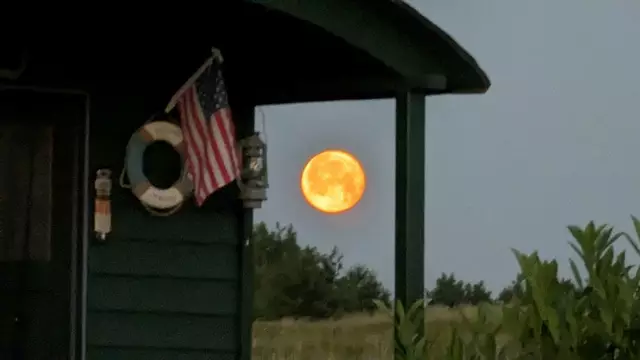 Foto: Ferdinand Pichler