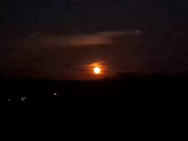 Foto: Monika Gösweiner