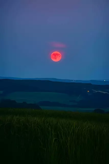 Foto: Susanne Lehner