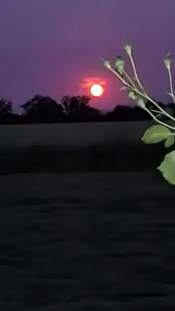 Foto: Rosemarie Obermayr