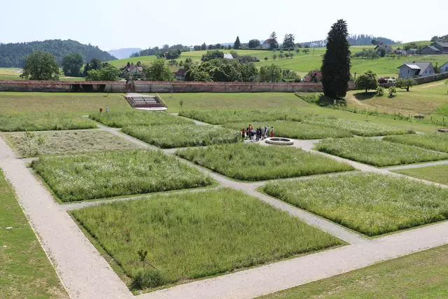 Ein Blick von den Historischen Sälen auf den Stiftsgarten zeigt die blühenden und ein bereits gemähtes Feld.  | Foto: Edith Ertl