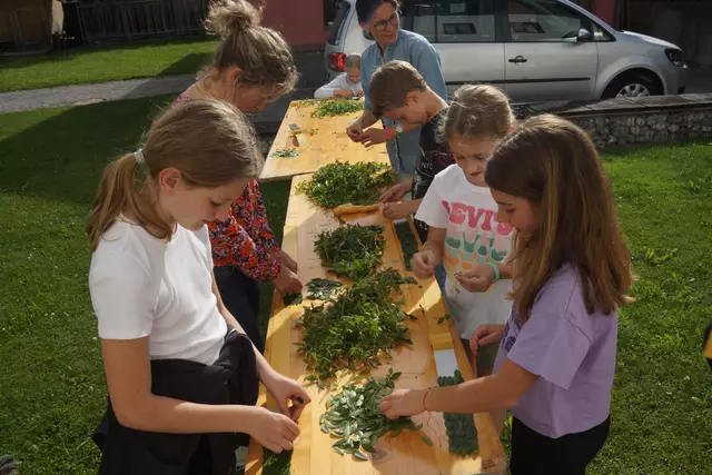 Fronleichnam-Brauch: Die Stirnbänder mit dem grünen Laub werden von den Ministranten selbst angefertigt. | Foto: Ilsinger