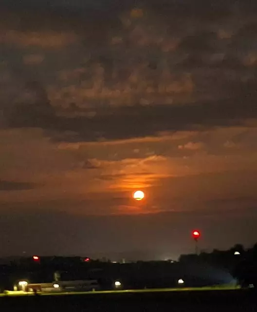 Foto: Silvia Schmoll