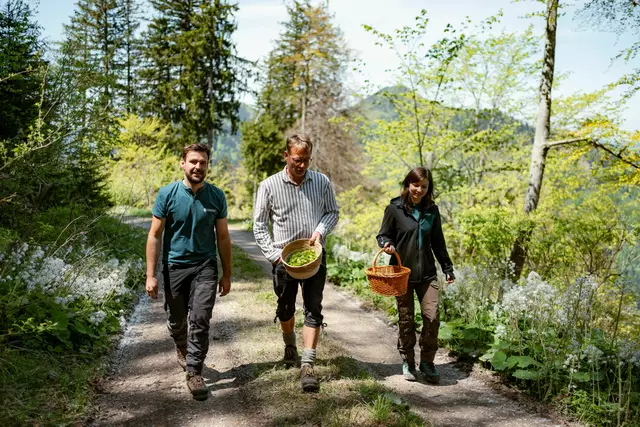 v.l. Revierleiter Thomas Lassacher, Braumeister Axel Kiesbye und Palmira Deissenberger (Betriebsleiter-Stv. ÖBf-Forstbetrieb Flachgau-Tennengau) bei der Ernte der Zutaten im ÖBf-Forstrevier Faistenau in Salzburg. | Foto: oebf/Roast Media