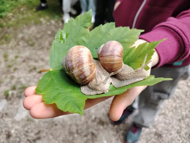 Viel zu entdecken: Schülerinnen und Schüler der Mittelschule Buchkirchen begaben sich mit ihrem Lehrer auf eine Expedition ins Naturschutzgebiet.