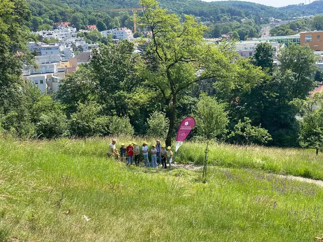 Der Naturpark bietet über die gesamten Sommerferien hinweg ein vielfältiges Programm für die Kinder. | Foto: Naturpark Purkersdorf
