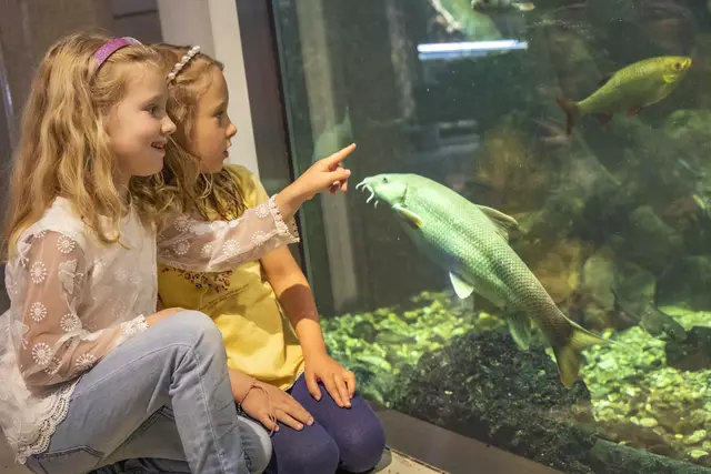 Spiel und Spaß im Sommer 2025. | Foto: NÖ Museum Betriebs GmbH, Theo Kust