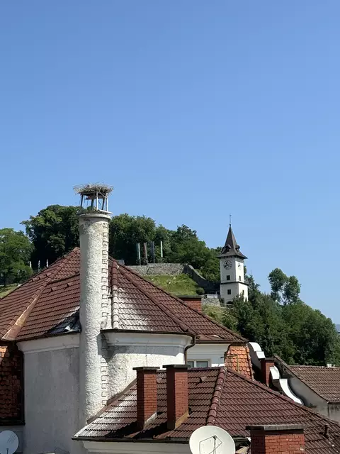 Rund um den Brucker Schloßberg stehen leider viele Geschäftsflächen leer. | Foto: Kern