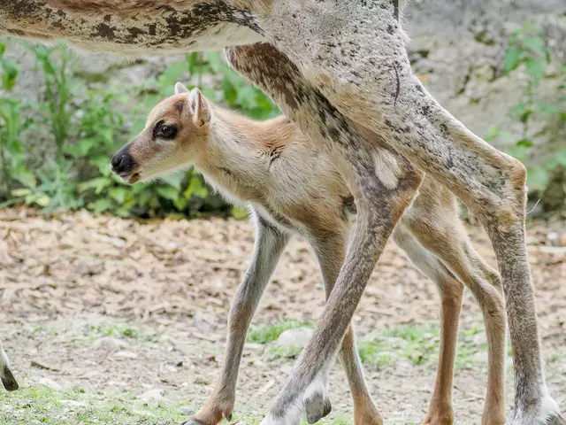 Foto: Angelika Köppl