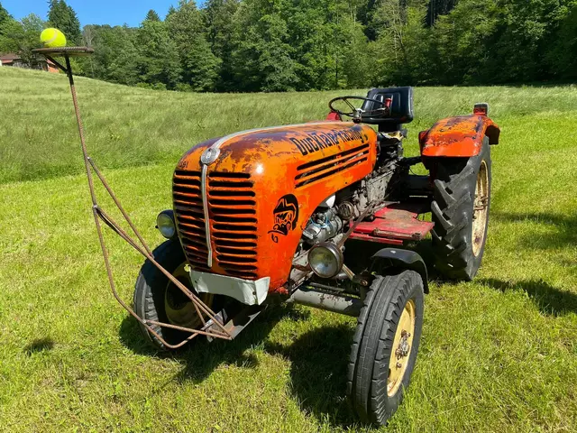 Der Oldtimer-Steyr-Traktor „Susi“ muss über den Ducktale-Wiesn-Parcours gesteuert werden, ohne dass der Tennisball verloren geht. | Foto: zVg