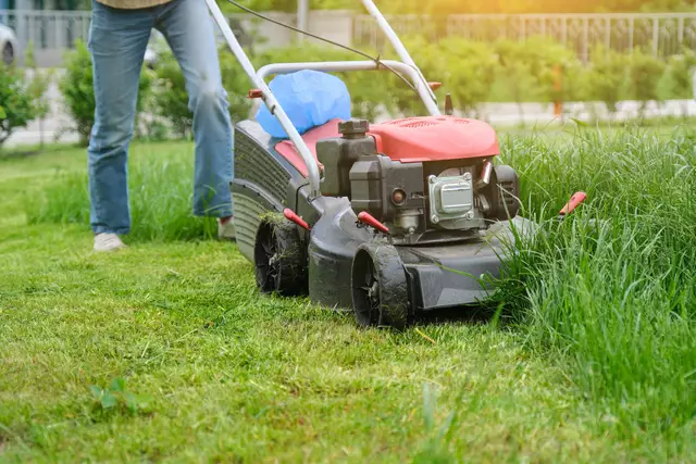 Kein Streit am Gartenzaun: Wer Stress mit den Nachbarn vermeiden will, mäht am besten zu den richtigen Zeiten. | Foto: VH-studio (YAYMicro)/Panthermedia