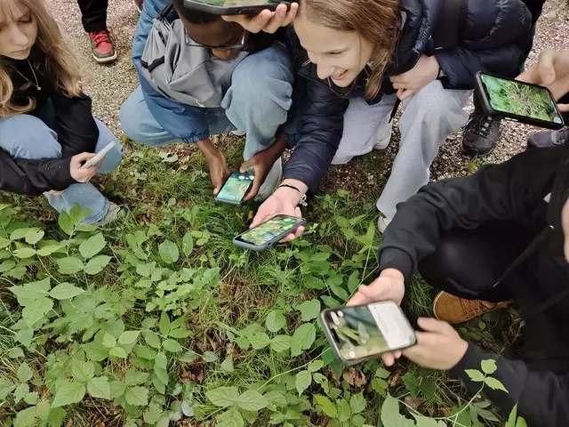 Viel zu entdecken: Schülerinnen und Schüler der Mittelschule Buchkirchen begaben sich mit ihrem Lehrer auf eine Expedition ins Naturschutzgebiet.