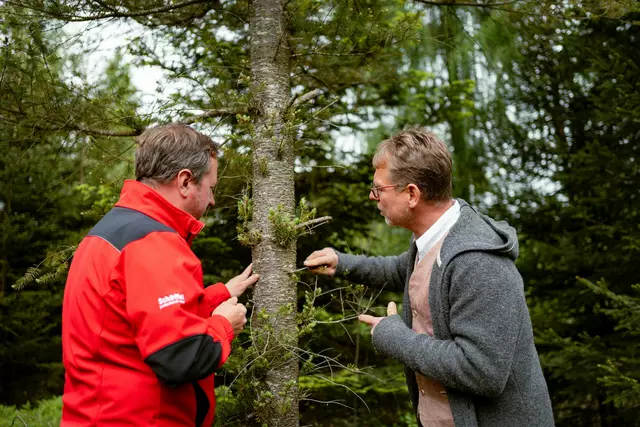 v.l. Revierleiter Matthias Berger und Braumeister Axel Kiesbye bei der Ernte des Harzes der Douglasie im ÖBf-Forstrevier Frauschereck in Oberösterreich. | Foto: oebf/Roast Media