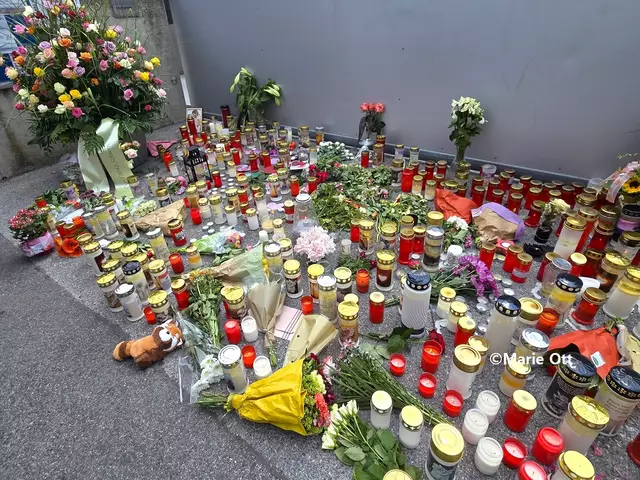 Gedenken an die Opfer, Borg Dreierschützengasse, Graz