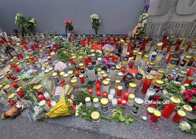 Gedenken an die Opfer, Borg Dreierschützengasse
