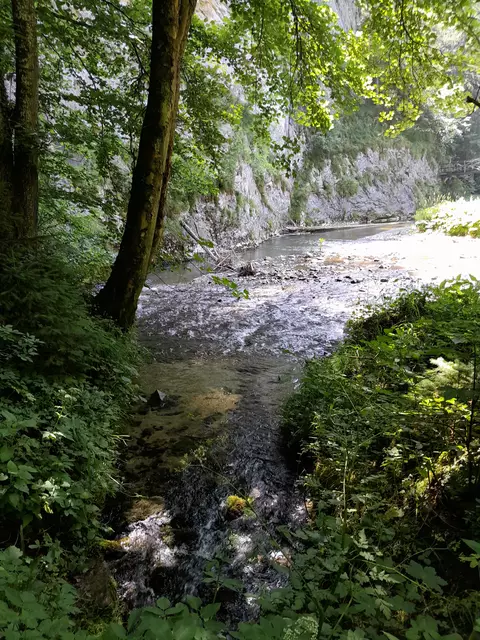 Mal seh ich steile Felsen 