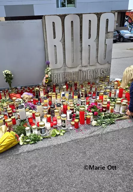Gedenken für die Opfer, Graz, Borg Dreierschützengasse
