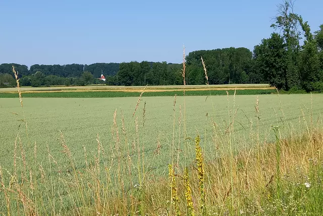 Foto: H.Bachinger 