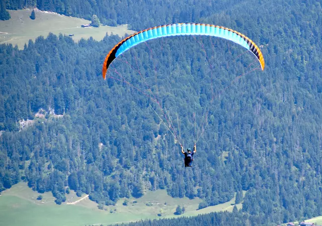Durch eine Notlandung in einer Baumkrone konnte ein Paragleiter in Neustift Schlimmeres verhindern.  | Foto: Johanna Bamberger (Symbolfoto)