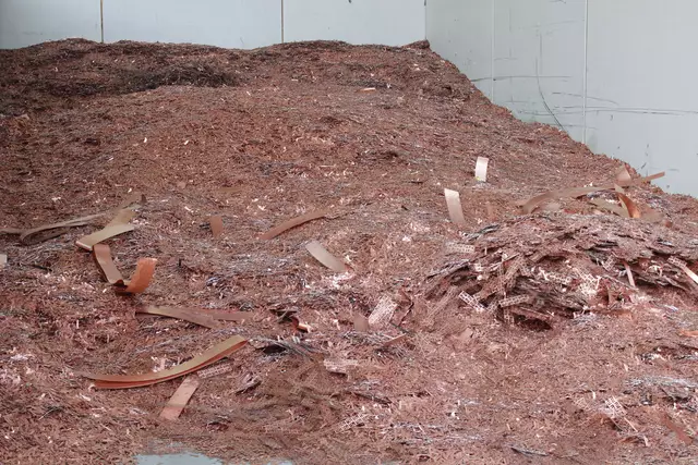 Foto: Walter Kellner