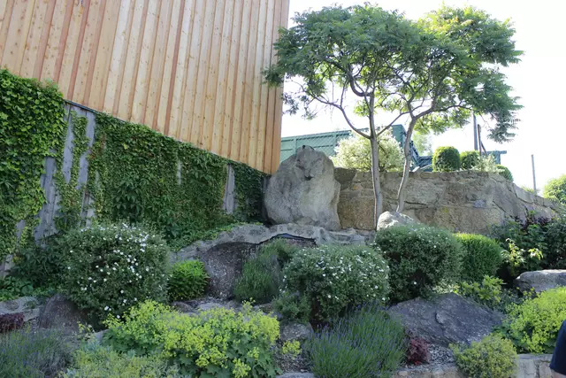 Foto: Walter Kellner