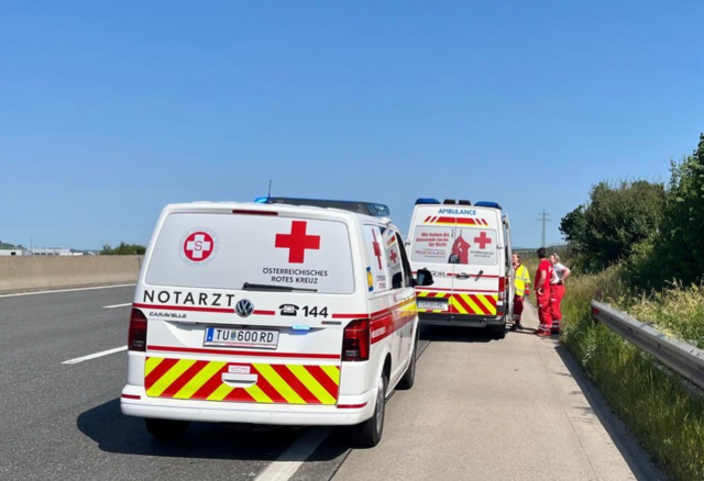 Mehrere Einsatzfahrzeuge waren dabei. | Foto: DOKU NÖ
