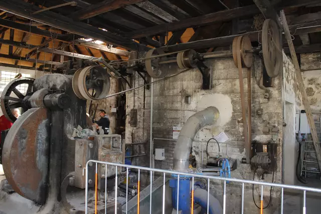 Foto: Walter Kellner