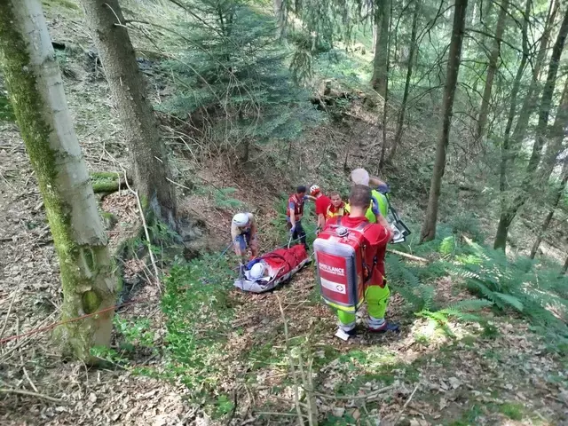 Ein 90-jähriger Mann konnte nach Stunden allein im Wald aufgefunden werden.  | Foto: ZOOM Tirol