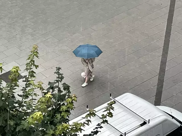 So ganz scheint der Sommer immer noch nicht in Wien angekommen zu sein. Die Woche startet mit Regenschauern und milden Temperaturen. | Foto: Patricia Hillinger