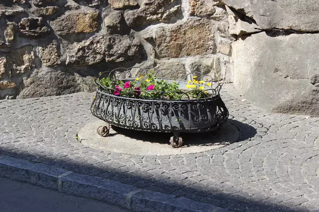 Foto: Walter Kellner