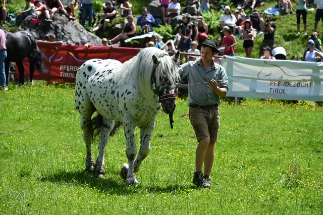 Viele bezeichnen den Tiger (hier vorgeführt von Samuel Feurstein) auch als Pipipferd.  | Foto: Pletzer