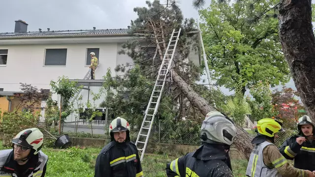 Gegen 16:00 Uhr stürzte der Baum in das Wohnhaus.  | Foto: ZOOM Tirol