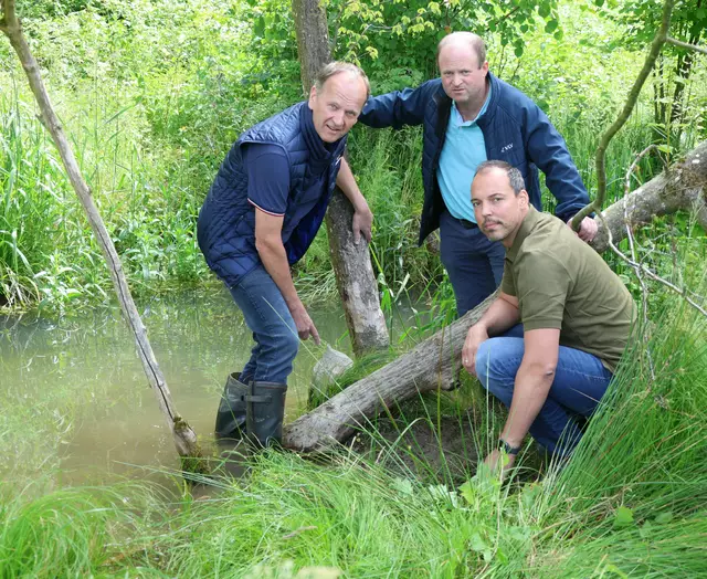 Bauernbund-Bezirksobmann Leopold Keferböck, Markus Brandmayr von der Landwirtschaftskammer und Abgeordneter Bgm. Klaus Lindinger zeigen an einem konkreten Beispiel in Wels-Land die Schäden auf.

  | Foto: Kienesberger