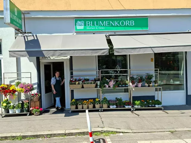 Im Sommer sehr beliebt: Pflanzen für draußen | Foto: Michael Ellenbogen