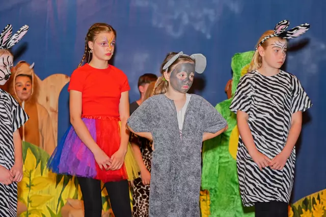 Foto: (c) Gerhard Schwingenschlögl