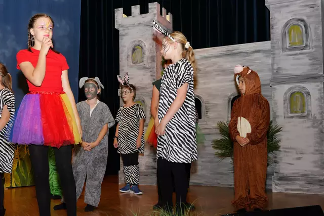 Foto: (c) Gerhard Schwingenschlögl