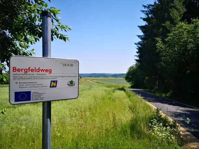 Der Bergfeldweg | Foto: Daniel Schmidt