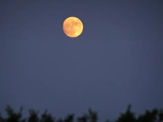 - Foto / 09.06.2025, 20:32 - | Foto: © Silvia Plischek