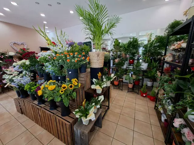 Blumen, wo hin man auch schaut... | Foto: Michael Ellenbogen