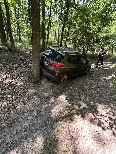 Nachdem das Fahrzeug bei einem Wendemanöver steckengeblieben war und nicht mehr weiterfahren konnte, alarmierte die Lenkerin die Feuerwehr Retz. | Foto: Rainer Löscher/Feuerwehr Retz
