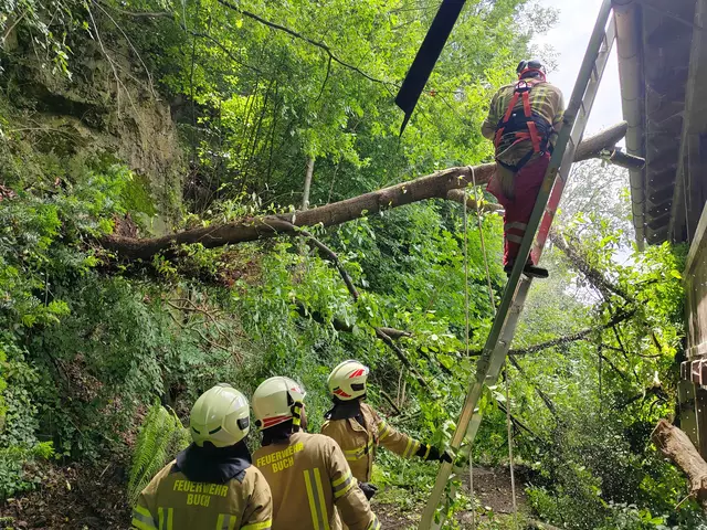 Die FF Buch rückte aus, um den Baum zu entfernen | Foto: ZOOM-Tirol