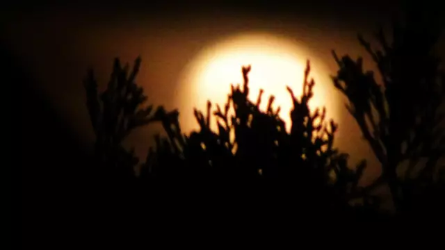 So wurden die Mondereignisse in Niederösterreich ( Bezirk Baden ) wahrgenommen. ... | Foto: © Silvia Plischek