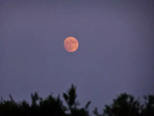 - Fotos 8 bis 14 / 09.06.2025, 20:16 bis 20:22 - | Foto: © Silvia Plischek