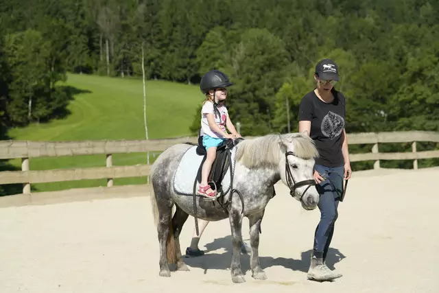 Für die Kleinsten ein Pony